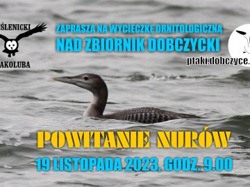 Powitanie nurów  – wycieczka nad Zbiornik Dobczycki